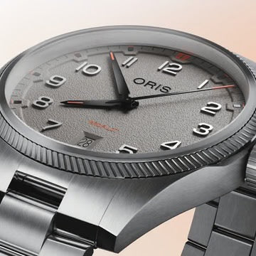 PROPILOT DATE 01 733 7805 4163-07 8 20 04LC