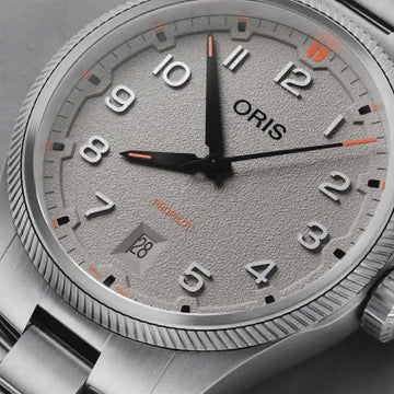 PROPILOT DATE 01 733 7805 4163-07 8 20 04LC